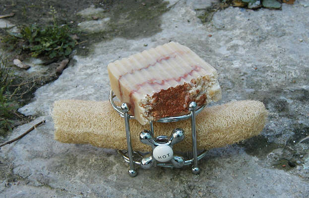 Seifensieders Tagebuch